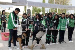 AYUNTAMIENTO . RALLY POR TU SEGURIDAD