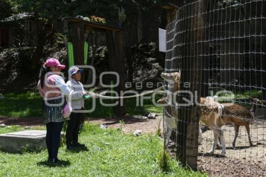 TLAXCALA . ZOOLÓGICO ALTIPLANO