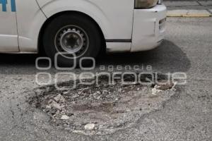 BACHES