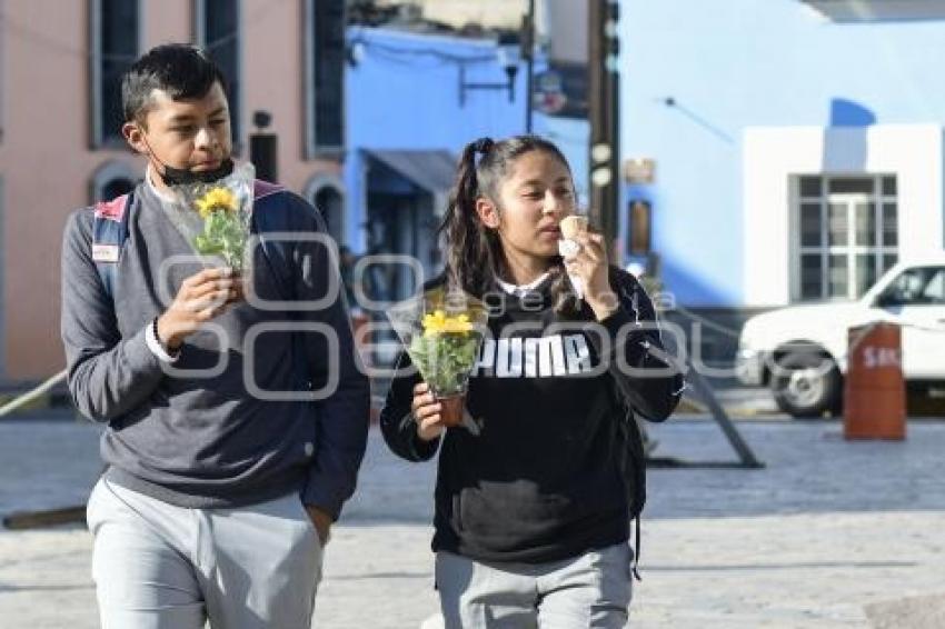 TLAXCALA . FLORES AMARILLAS