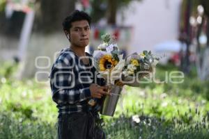 TLAXCALA . FLORES AMARILLAS