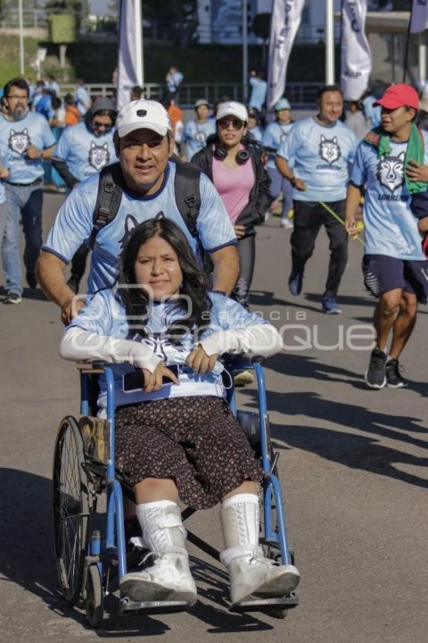 CARRERA UNIVERSITARIA BUAP