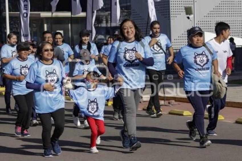 CARRERA UNIVERSITARIA BUAP