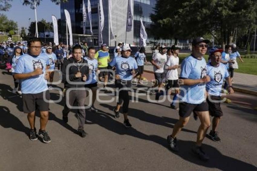 CARRERA UNIVERSITARIA BUAP