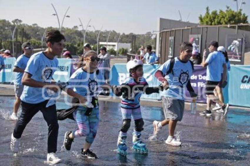 CARRERA UNIVERSITARIA BUAP