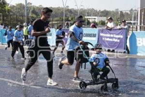 CARRERA UNIVERSITARIA BUAP