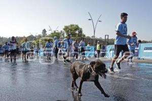 CARRERA UNIVERSITARIA BUAP