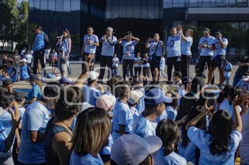 CARRERA UNIVERSITARIA BUAP