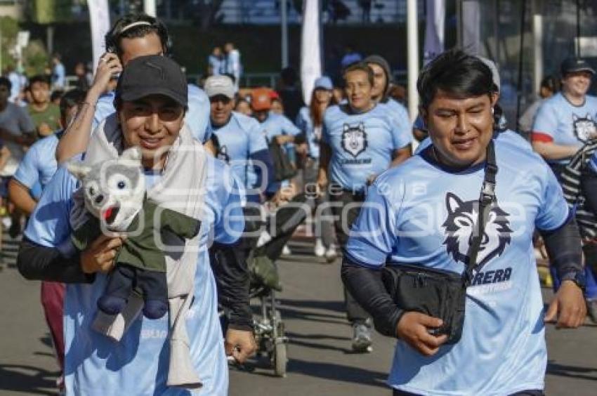 CARRERA UNIVERSITARIA BUAP