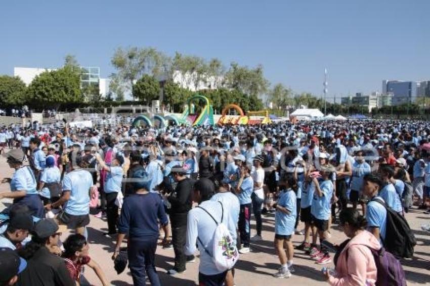 CARRERA UNIVERSITARIA BUAP