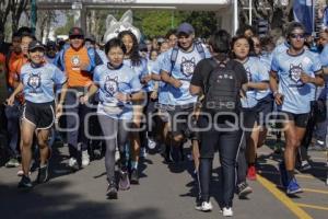 CARRERA UNIVERSITARIA BUAP