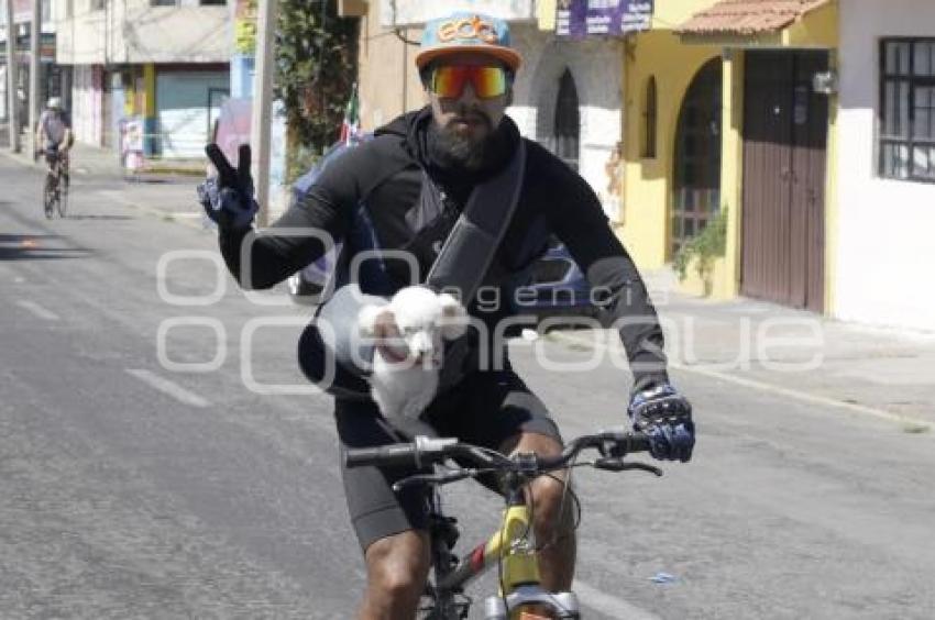 RODADA PUEBLA SIN AUTO