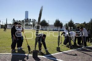 SAN ANDRÉS CHOLULA . JORNADA DE REFORESTACIÓN