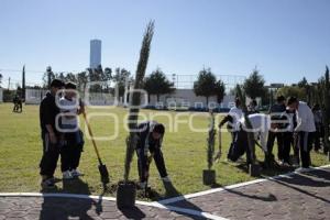 SAN ANDRÉS CHOLULA . JORNADA DE REFORESTACIÓN