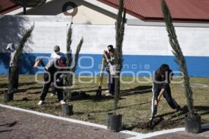 SAN ANDRÉS CHOLULA . JORNADA DE REFORESTACIÓN