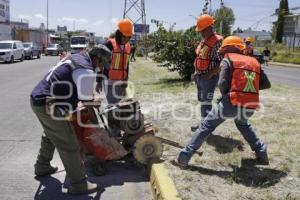 SAN ANDRÉS CHOLULA . RETORNO VEHICULAR