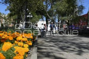 TLAXCALA . FLOR DE CEMPASÚCHIL