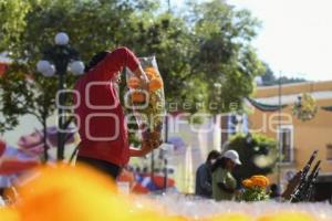 TLAXCALA . FLOR DE CEMPASÚCHIL