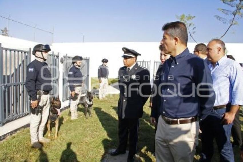 AYUNTAMIENTO . UNIDAD CANINA