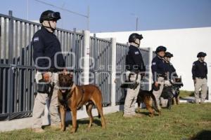 AYUNTAMIENTO . UNIDAD CANINA