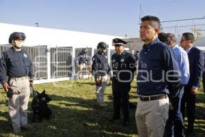 AYUNTAMIENTO . UNIDAD CANINA