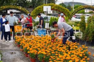 ATLIXCO . VENTA DE CEMPASÚCHIL