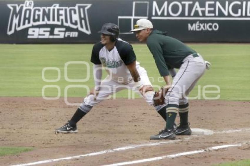 BÉISBOL . PERICOS PRETEMPORADA