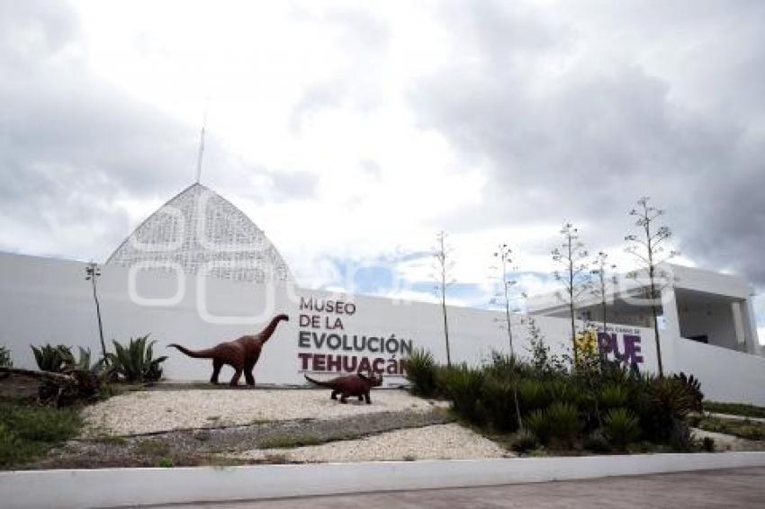 TEHUACÁN. MUSEO DE LA EVOLUCIÓN