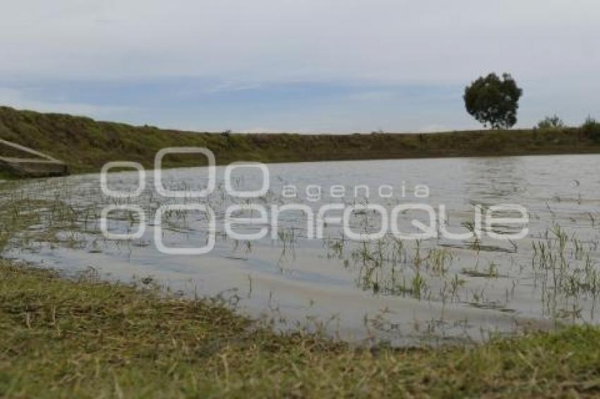 TLAXCALA . JUAGÜEY CUAXINCA