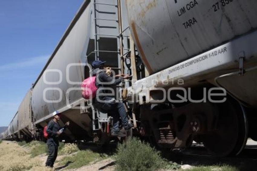 CRUZ ROJA . MIGRANTES