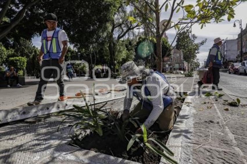 PEATONALIZACIÓN 16 DE SEPTIEMBRE