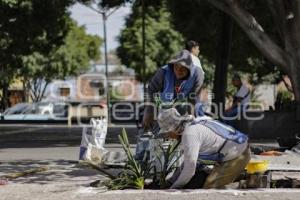 PEATONALIZACIÓN 16 DE SEPTIEMBRE