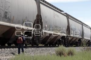 CRUZ ROJA . MIGRANTES