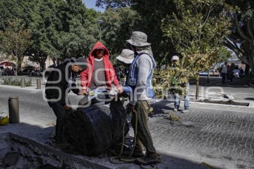 PEATONALIZACIÓN 16 DE SEPTIEMBRE