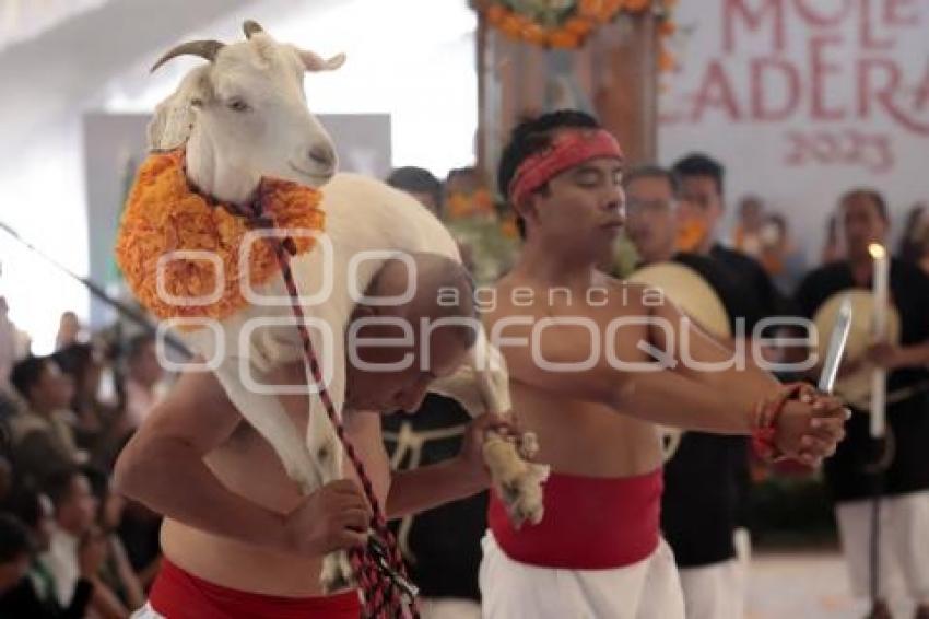 TEHUACÁN . MOLE DE CADERAS