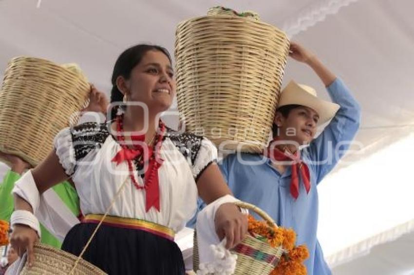 TEHUACÁN . MOLE DE CADERAS