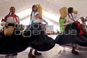 TEHUACÁN . MOLE DE CADERAS