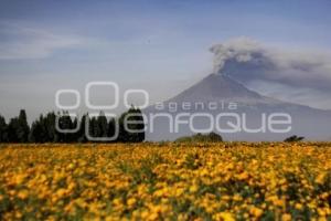 VOLCÁN POPOCATÉPETL