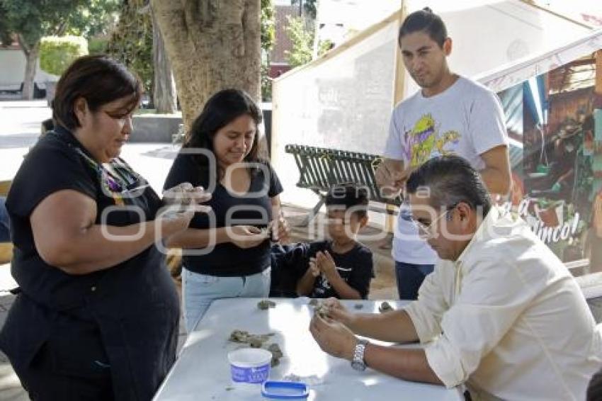 ACTIVACIÓN TURISTICA VERACRUZ