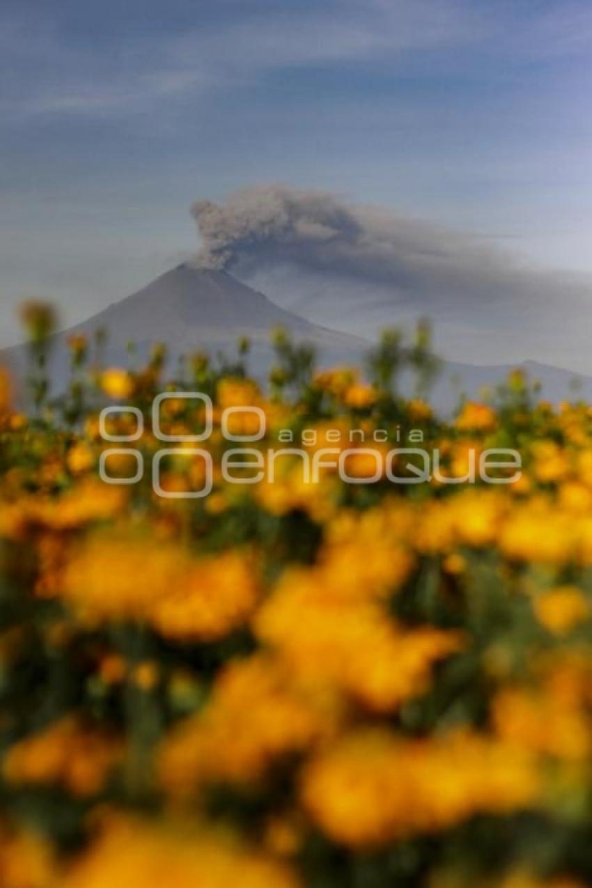 VOLCÁN POPOCATÉPETL