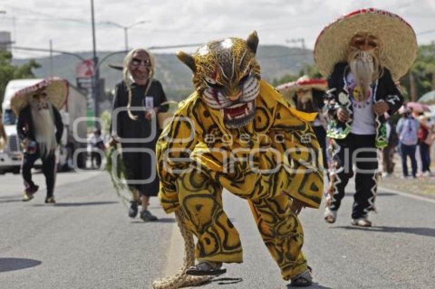 DANZA DE TECUANES