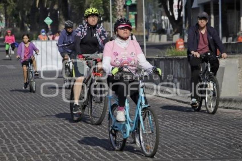 GRAN PASEO . RODADA ROSA