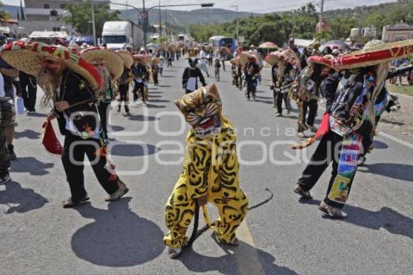 DANZA DE TECUANES