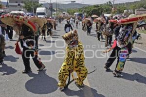 DANZA DE TECUANES