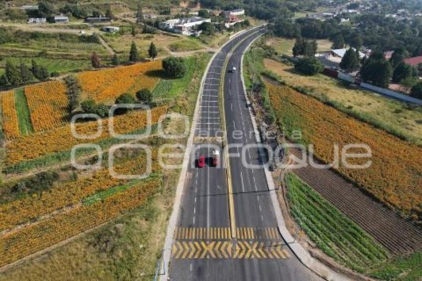 TLAXCALA . CAMPOS DE CEMPASÚCHIL