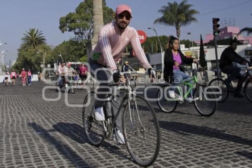 GRAN PASEO . RODADA ROSA