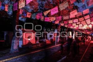 AYUNTAMIENTO . LA ANTIGUA CIUDAD DE LOS MUERTOS