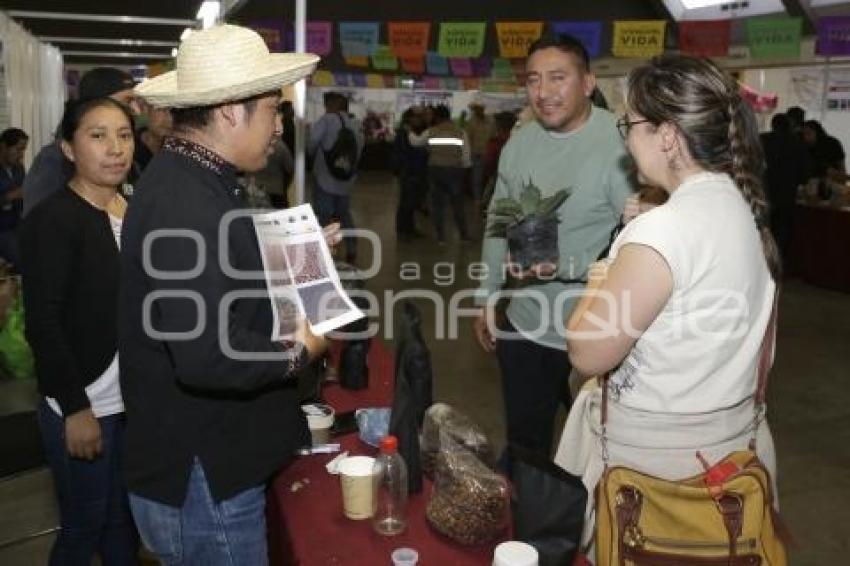 EXPO FORO SISTEMAS CAFETALEROS