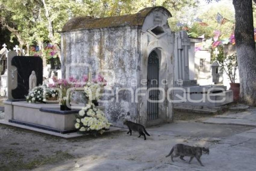 PANTEÓN MUNICIPAL . GATOS