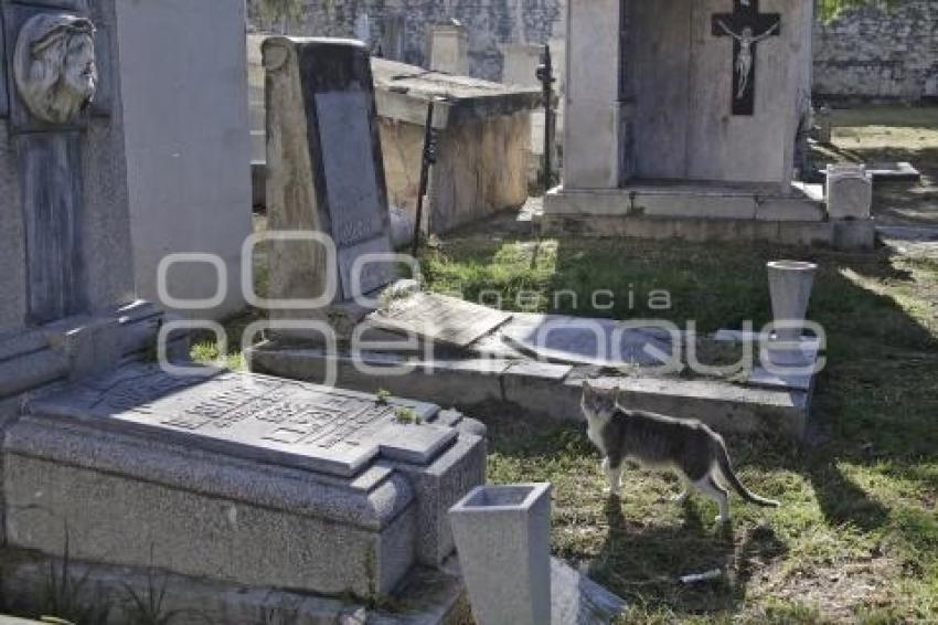 PANTEÓN MUNICIPAL . GATOS